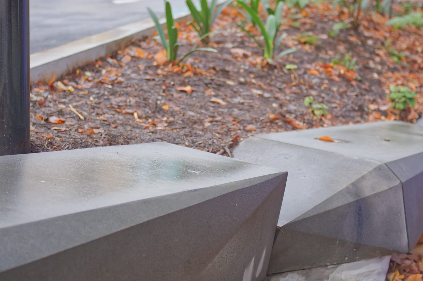 Australian Catholic University